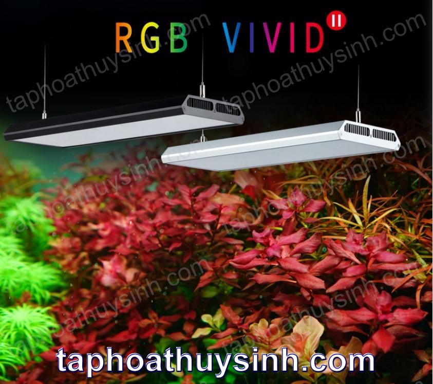 ĐÈN RGB VIVID 2 ĐÈN RGB VIVID 2