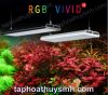 ĐÈN RGB VIVID 2 - anh 1 ĐÈN RGB VIVID 2 - anh 1