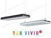 ĐÈN RGB VIVID 2 - anh 6 ĐÈN RGB VIVID 2 - anh 6
