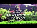Những mẹo nhỏ trong việc thay nước, bảo dưỡng hồ thủy sinh cho các bạn mới chơi.